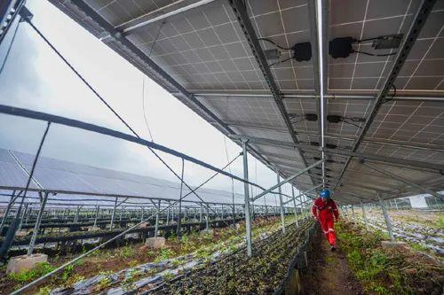 中國十三省最大光伏電站在這里！欽州康熙嶺的光伏電站能排上號了嗎？